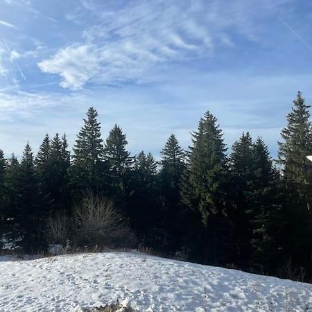 Chamrousse A 50M Des Pistes Appart 4/6 מראה חיצוני תמונה