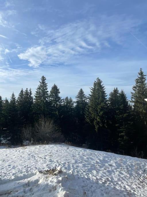 Chamrousse A 50M Des Pistes Appart 4/6 מראה חיצוני תמונה